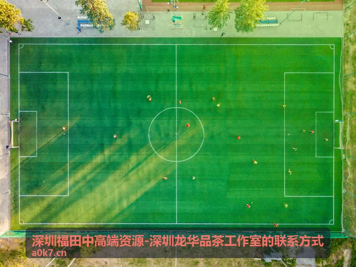 深圳品茶工作室商务接待茶文化艺术空间